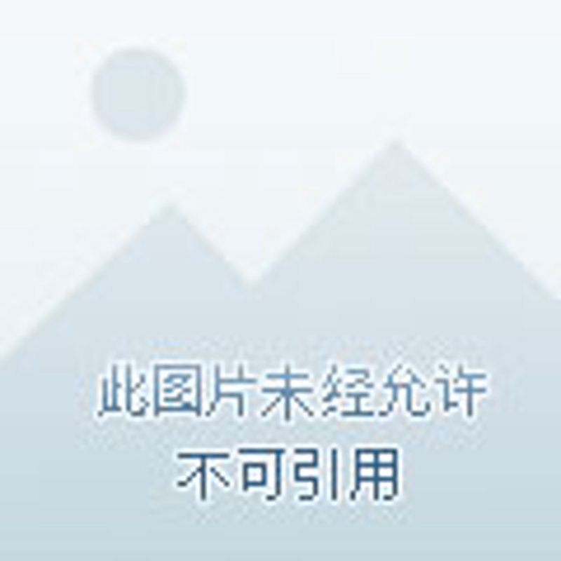 管道工程测量：从某炼化项目看预制化施工的“数字骨架”